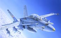 Самолет F/A-18 C/D it it WILD WEASELit it 