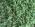 Имитация травы и листьев (3 мм) PB210006_enl.JPG