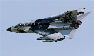Самолёт Tornado IDS Black Panthers
