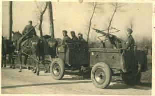 If. 5 horse drawn wagon (Type 36) with Zwillingslafette 36