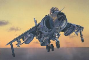 Самолет FRS.1 Sea Harrier