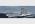 Крейсер "Адмирал Хиппер" 1940 г. tr05775_7.jpg